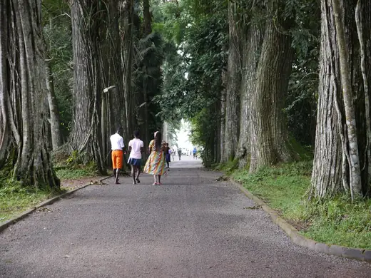 Aburi Botanical Gardens, Eastern Region