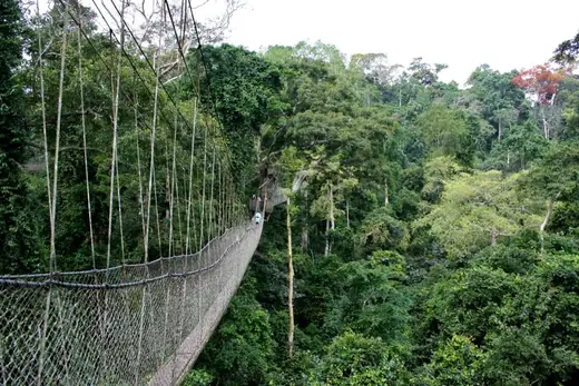 Kakum National Park, Central Region